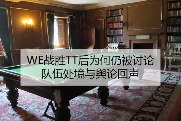 WE战胜TT后为何仍被讨论 队伍处境与舆论回声